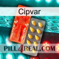 Cipvar new01